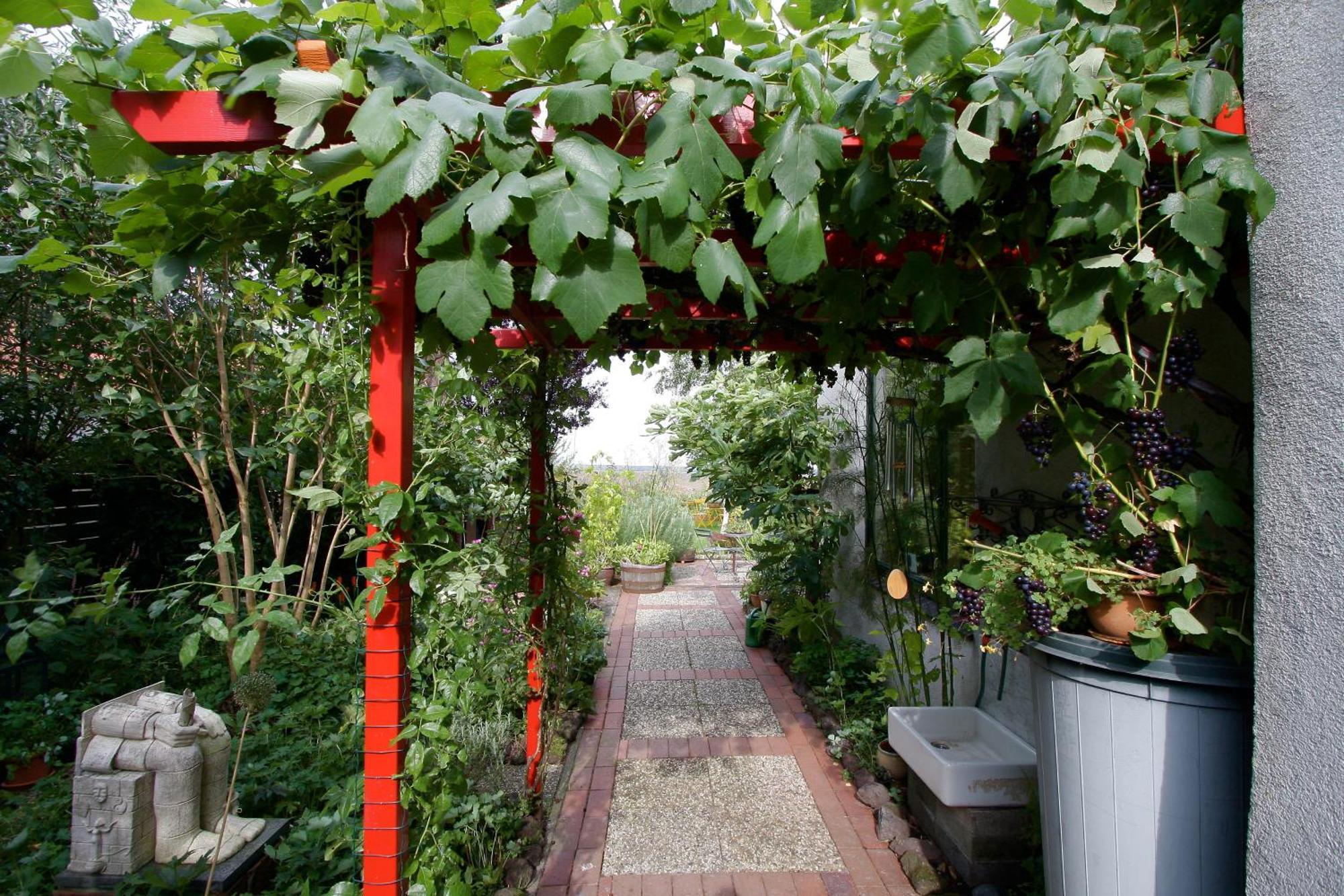 Bed and Breakfast De Witte Wolk Nieuw-Scheemda Esterno foto